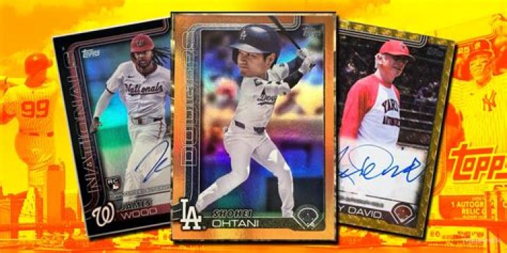 A Journey Of Baseball And Financial Success