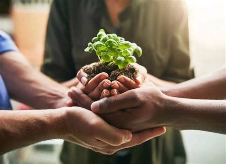 A Journey Of Triumphs, Versatility, And Social Impact