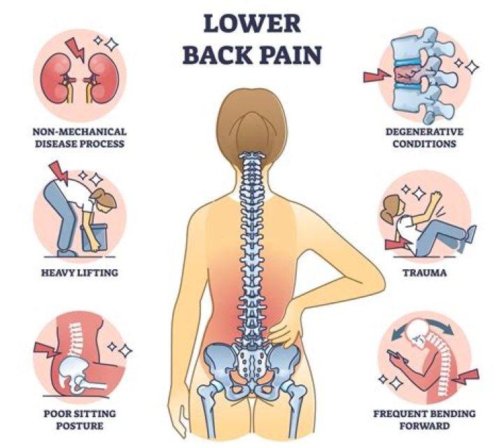 A Revolutionary Discovery For Lower Back Pain Relief