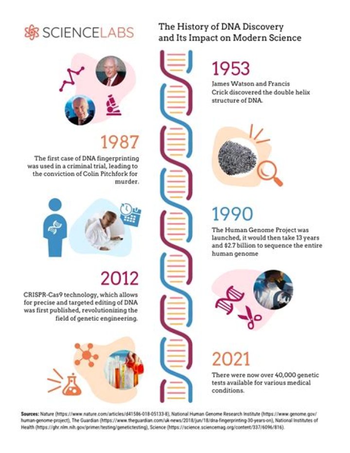Discoveries And Insights From Her Birthdate