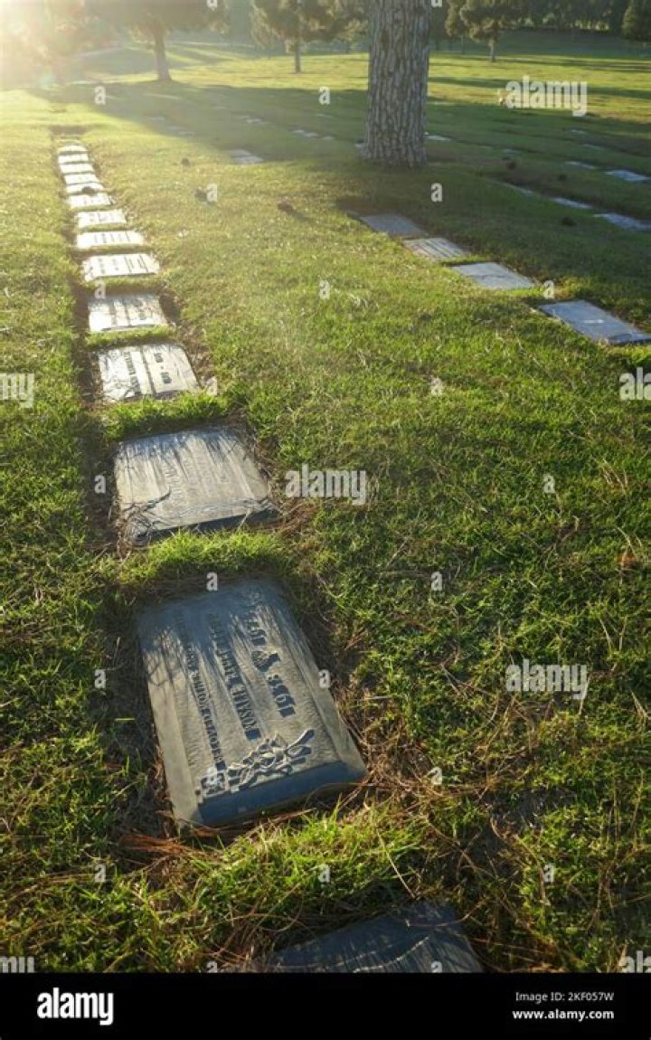 Unveiling The Cause Of Bambi Allen's Untimely Demise